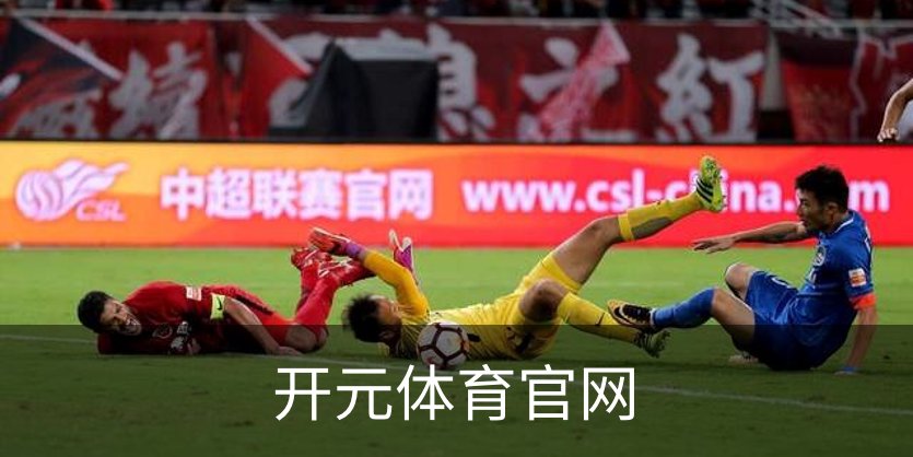 开元体育官网概况